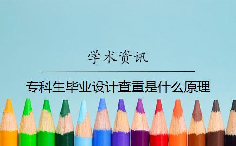 专科生毕业设计查重是什么原理