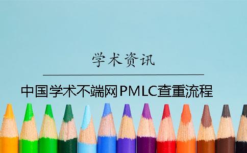 中国学术不端网PMLC查重流程