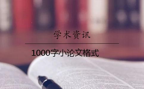 1000字小论文格式